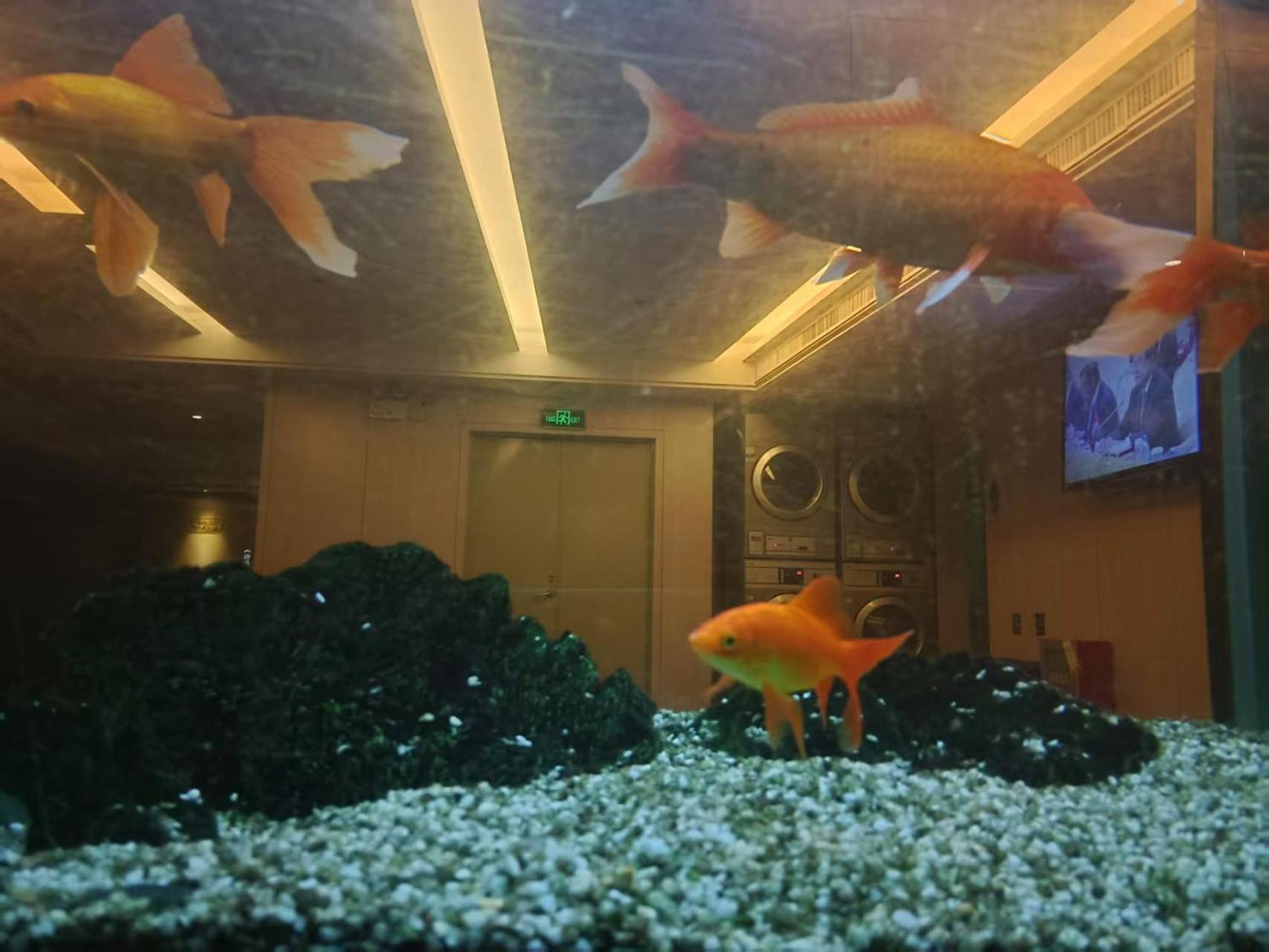 Paco Hotel Tianhe Coach Terminal Metro Satation Guangzhou-Free Shuttle Bus For Canton Fair Esterno foto